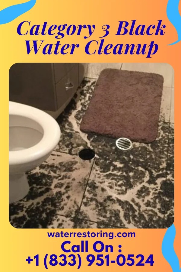 Category 3 Black Water Cleanup in Senoia, GA