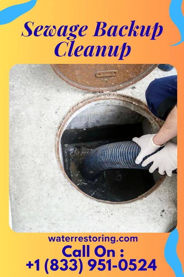 Sewage Backup Cleanup in Senoia, GA